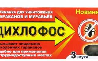 Как использовать Дихлофос от тараканов