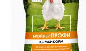 Корм для бройлеров Purina Профи