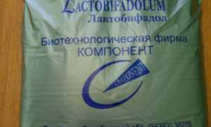 Пробиотик Лактобифадол для КРС