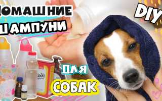 Сухой шампунь: инструкция по применению для собак и изготовление своими руками в домашних условиях