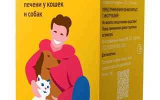 Эффективен ли Гепатовет при проблемах с печенью у собак, и как его правильно применять? Полное руководство