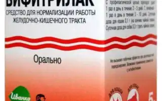 Полезен ли Бифитрилак для собак, и как правильно применять это средство для здоровья питомца?