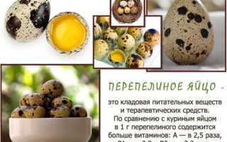 Птицеводство в России
