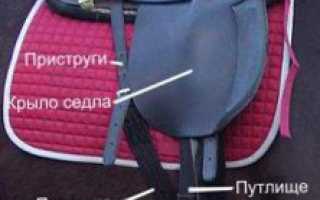 Как седлать лошадь и надевать уздечку