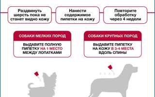 Для чего предназначены капли Адвантикс и как их правильно применять для собак? Полезные советы и рекомендации