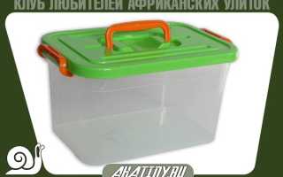 Содержание маленьких улиток ахатин