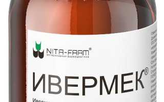 Ветеринарное применение Ивермека для собак, а также инструкция и дозировка для владельцев