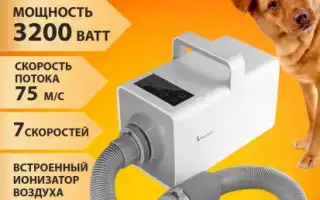 Компрессор для сушки собак на АВИТО: о чем не принято говорить? Узнайте все нюансы!