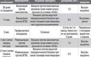 Прививки кроликам