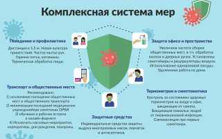 Как уберечь своего питомца от коронавируса и как его лечить в случае заболевания: советы и рекомендации.