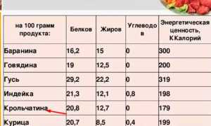 Мясо кролика: польза и вред для организма