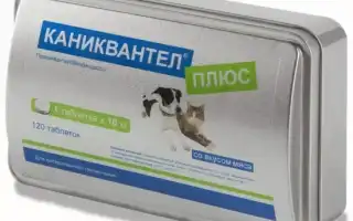 Как правильно применять Каниквантел для дегельминтизации своей собаки в домашних условиях?