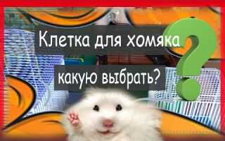 10 лучших клеток для хомяков