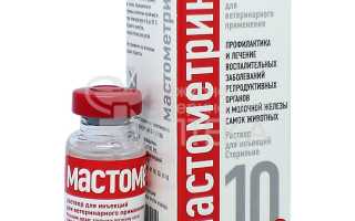 Мастит у кошки лечение препаратами