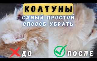 Как правильно избавиться от колтунов у своей собаки в домашних условиях?