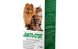 Является ли Лакто-стоп эффективным средством для лечения ложной беременности у собак и кошек