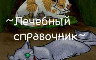 Коты воители как лечить