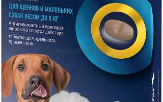 Правила применения Милпразона для собак при лечении глистов и профилактики