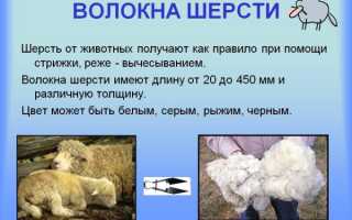 Овечья шерсть