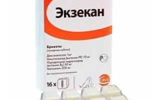 Как правильно применять Экзекан для собак, если у питомца началась аллергия? Полезные советы и рекомендации
