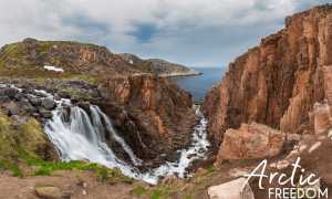 Природа Баренцева моря