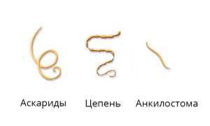 Мильбемакс для собак