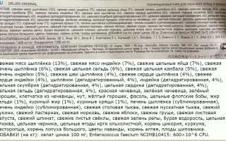 Подробный обзор корма для собак марки Ориджен: состав и преимущества