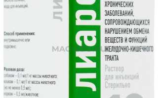 Дозировка Лиарсина для собак, и правила применения препарата для здоровья питомцев
