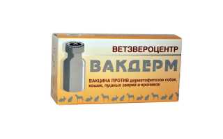 Насколько эффективна вакцина Вакдерм, и стоит ли ее применять для своей собаки в 2023 году?