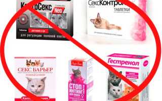 Когда лучше кастрировать кота
