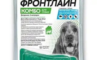 Фронтлайн: капли на холку, спрей, таблетки от клещей и блох для собак – эффективные решения для защиты