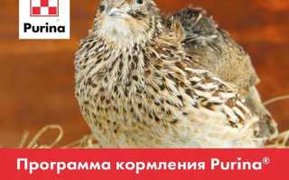 Пурина для перепелов