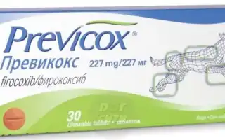 Является ли действенным средством препарат Превикокс для собак? Узнайте мнение ветеринаров