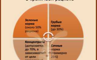 Что едят кролики и чем можно кормить
