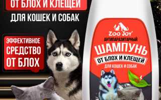Как правильно выбрать хороший шампунь от блох и клещей для своей собаки? Полезные советы и рекомендации