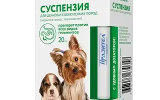 Инструкция по применению Празитела для собак, а также отзывы о препарате и его эффективности
