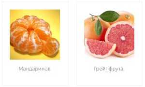Корма для всех видов попугаев