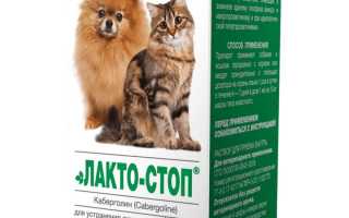 Мазь для лечения мастита у кошек