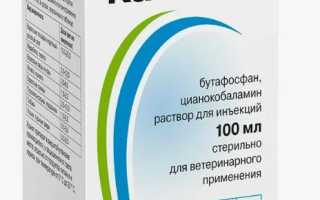 Инструкция по применению Катозала для собак, а также отзывы о нем и рекомендации