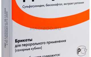 Правила применения Диаркана для собак при лечении диареи и профилактики заболеваний