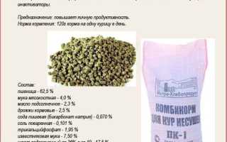 Кормление бройлеров комбикормом