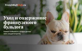 Подробный рацион питания французского бульдога и рекомендации для аллергиков на каждый день