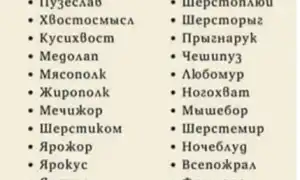 Как назвать кошку оригинально