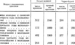 Спаривание кроликов