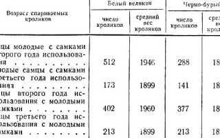 Спаривание кроликов