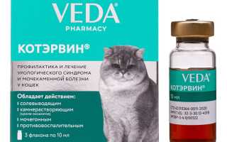 Молоко при мочекаменной болезни у кошек