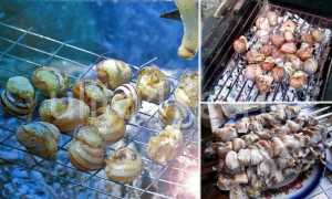 Рецепты приготовления виноградных улиток