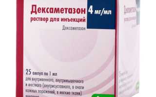Можно ли применять Дексаметазон для собак и как это правильно делать? Полное руководство