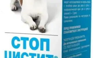 Эффективно ли средство Стоп Цистит для лечения болезней мочеполовой системы у собак? Узнайте мнение ветеринаров
