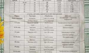 Инструкция по дозировке для цыплят, кур и бройлеров